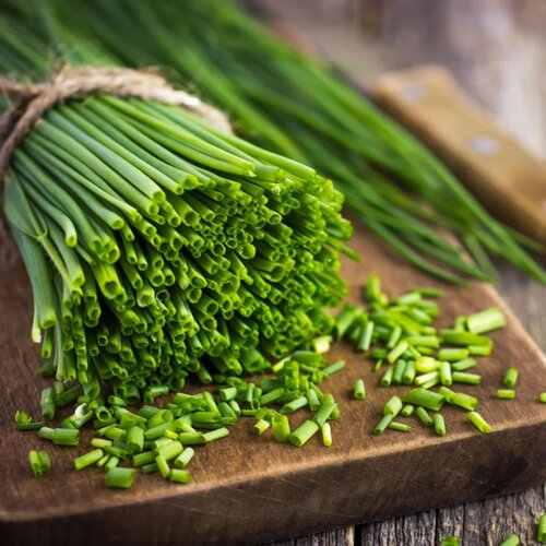 BIO drobnjak "Chives" - 1 g Cene