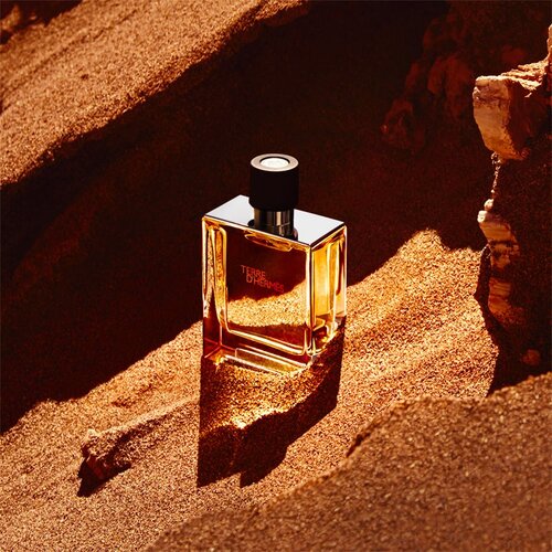 Hermes HERM&amp;Egrave;S Terre d&amp;rsquo;parfum za mo&amp;scaron;ke 75 ml Slike