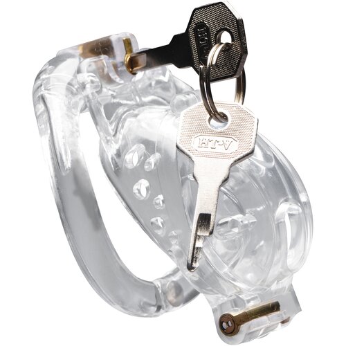 Master Series Double Lockdown Locking Customizable Chastity Cage Clear Cijene