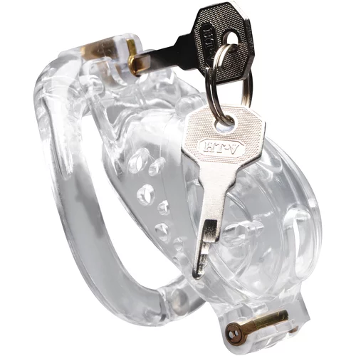 Master Series Double Lockdown Locking Customizable Chastity Cage Clear