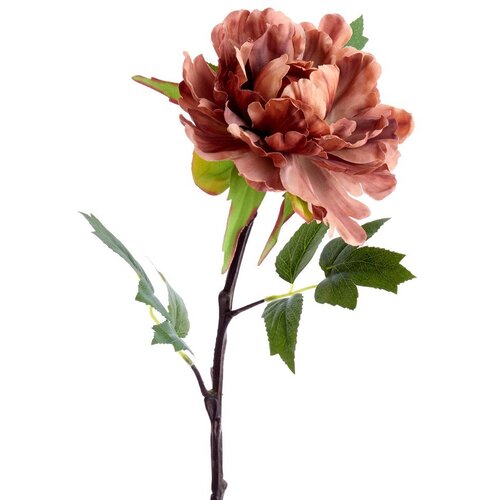 Light &amp;amp; Living Umetna rastlina (vi&amp;scaron;ina 65 cm) Peonia &amp;ndash; Slike
