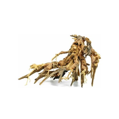 Aquadeco Dekoracija za akvarijum Octopus Wood, S, 15-18cm Cene