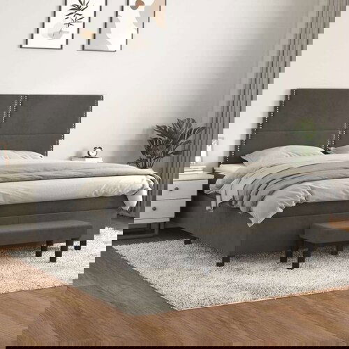  Krevet s oprugama i madracem tamnosivi 160x200 cm baršunasti Cijene