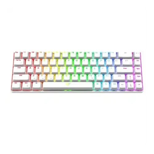 Havit tastatura KB903L bela Cene