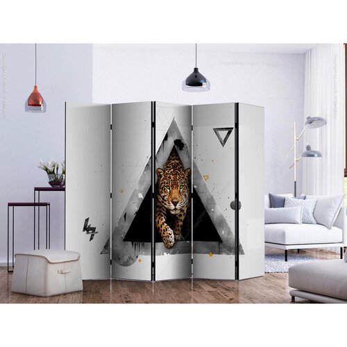 Artgeist Paravan Wild Abstraction I, 5-Delni, Dvostranski Slike