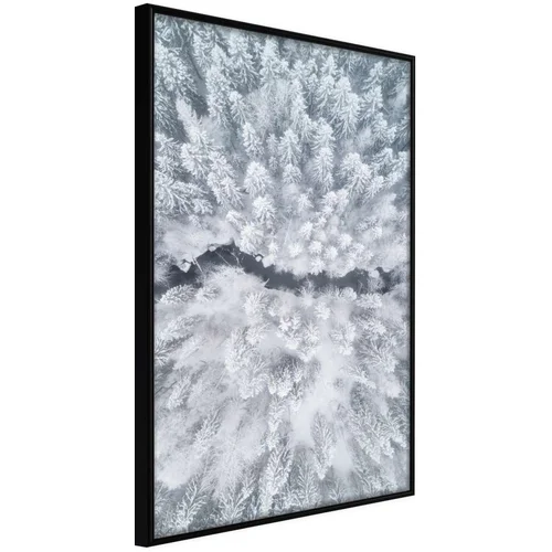  Poster - Winter Forest From a Bird's Eye View 40x60