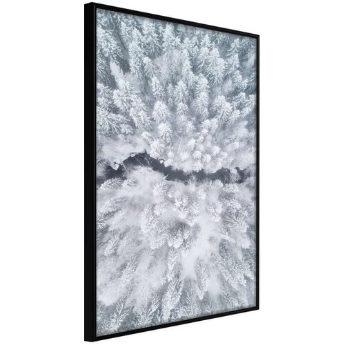  Poster - Winter Forest From a Bird&amp;#039;s Eye View 40x60 Slike
