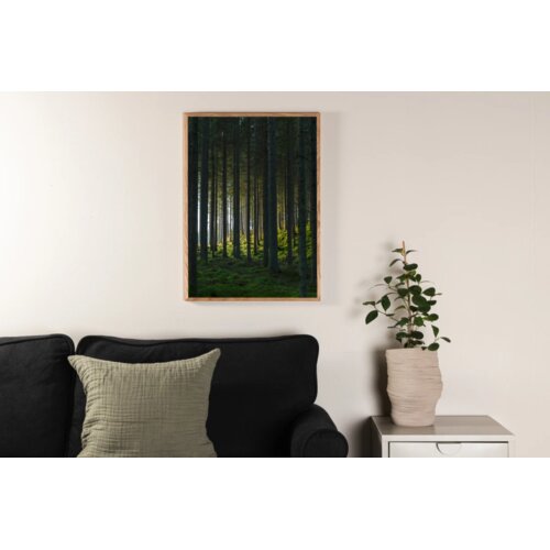 Venture Home poster Woods 21 &amp;times; 30 cm, zeleni Slike
