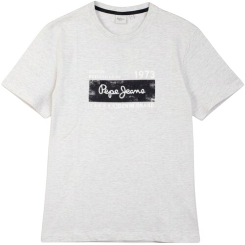 PepeJeans Grayson Tee majica Cene