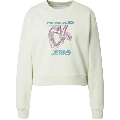 Calvin Klein Jeans Sweater majica 'Relaxed' menta / žad / ljubičasta