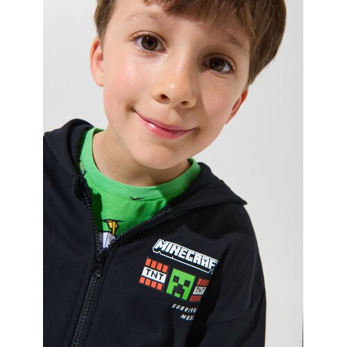 Sinsay Majica s kapuljačom na patentni zatvarač Minecraft Slike