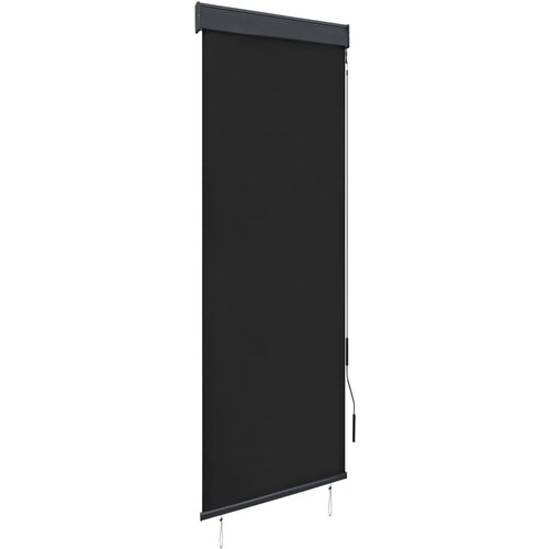 VidaXL Zunanje rolo senčilo 60x250 cm antracitno Slike