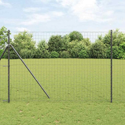 Euro ograda Crna 1,6 x 10 m Željezo prekriveno PVC-om Slike