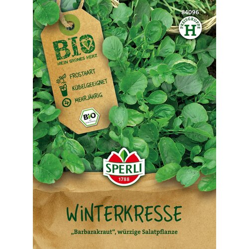 BIO navadna barbica - 1 pkt. Slike