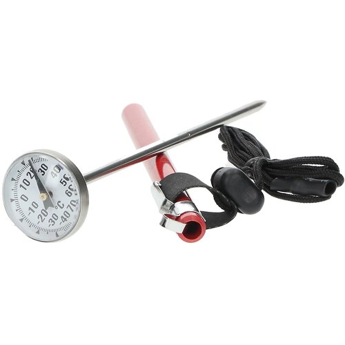 BCA Analog Thermometer no color Slike