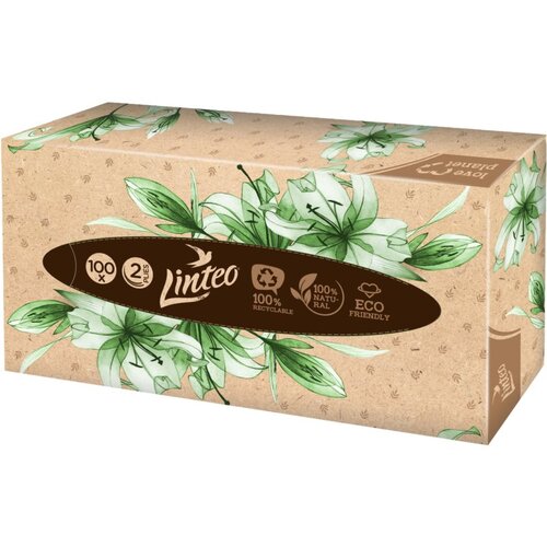Linteo Paper Tissues Two-ply Paper, 100 pcs per box papirnati robčki 100 kos Cene
