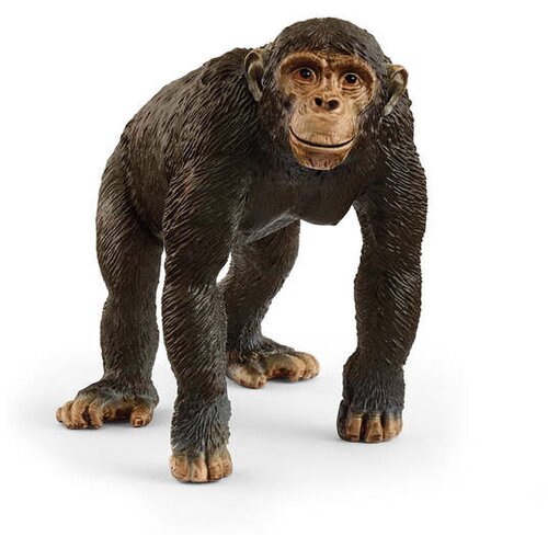 Schleich &Scaron;impanza Cene