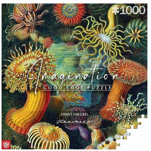 CENEGA PUBLISHING Imagination Puzzle: Ernst Haeckel Sea Creatures 1000 elements Slike