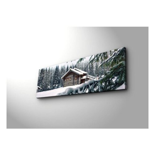 Wallity Zidna slika sa LED osvetljenjem 3090DACT-34, 30x90 cm Cijene