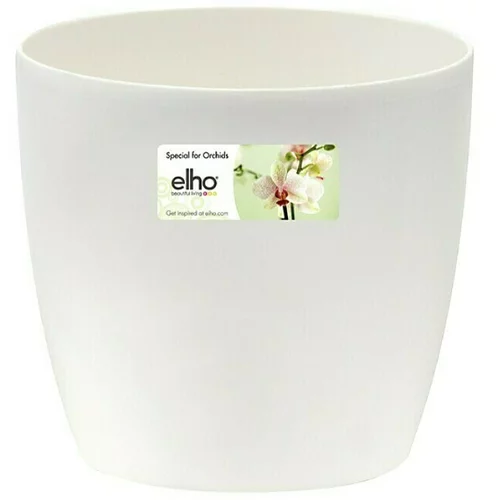 ELHO brussels Tegla za orhideju (Vanjska dimenzija (ø x V): 16 x 15 cm, Prozirno)