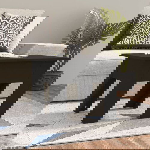 VidaXL stolić za kavu crni 55 x 55 x 42 cm od iverice Slike