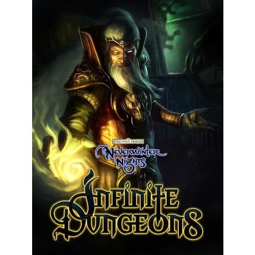 Steam Neverwinter Nights: Infinite Dungeons (DLC) Key GLOBAL Cene