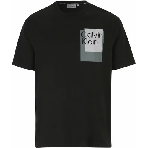 Calvin Klein Majica bazaltno siva / svetlo siva / črna