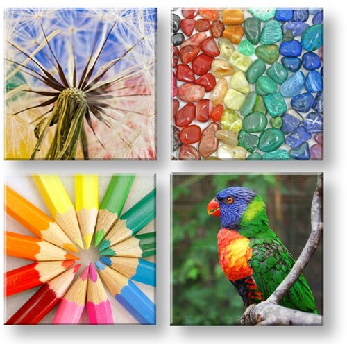  Slike na platnu colorful vibes 4-delni kolaž XOBKOL20E42 Slike