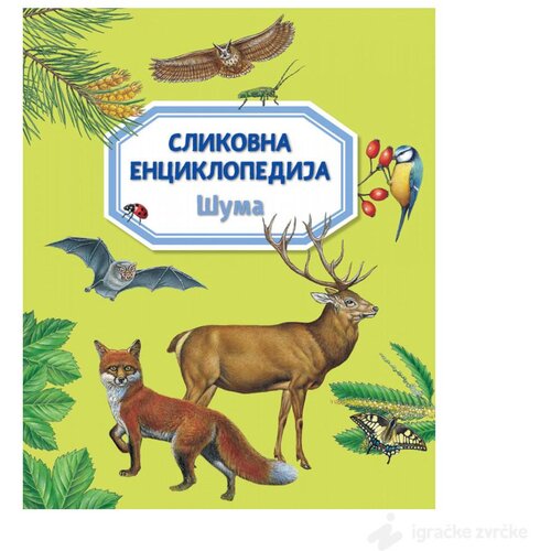 VULKAN Knjige za decu Slikovna enciklopedija: ŠUMA Slike