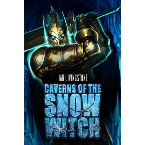 Steam Caverns of the Snow Witch (Standalone) Key (PC) GLOBAL Cene