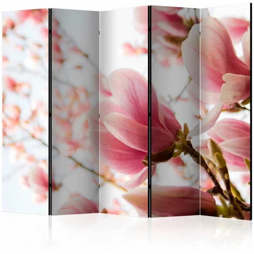  Paravan u 5 dijelova - Pink magnolia II [Room Dividers] 225x172