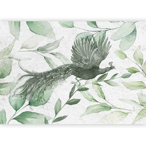  Foto tapeta - Flight of a Peacock - Third Variant 300x210 Standard Cene