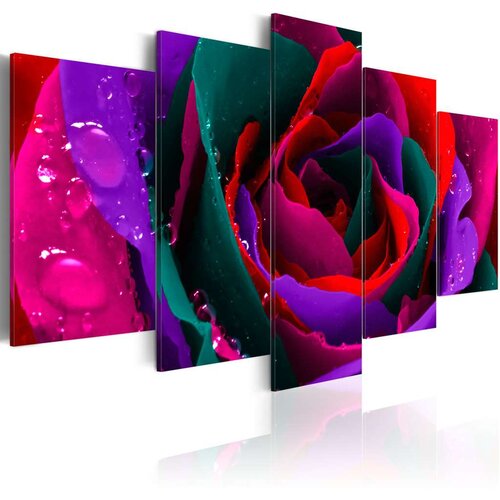  Slika - Multicoloured rose 100x50 Cene