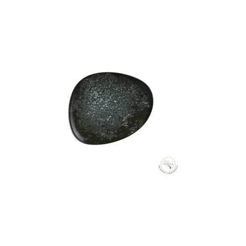COSMOS Black Vago tanjir plitki 19cm Cijene