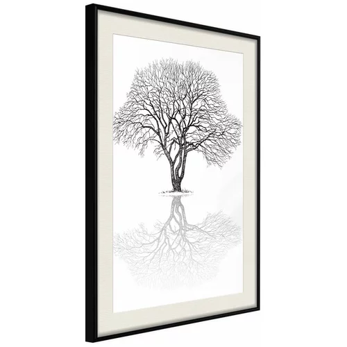  Poster - Roots or Treetop? 20x30