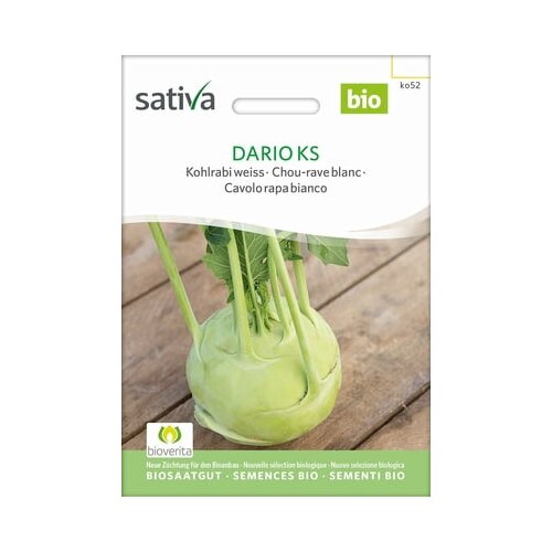  Koleraba bela "Dario Ks" Cene