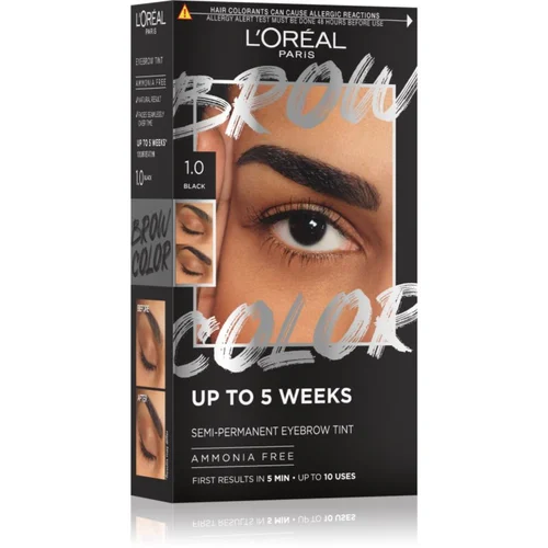 L´Oréal Paris Brow Color barva za obrvi odtenek 1.0 Black 1 kos