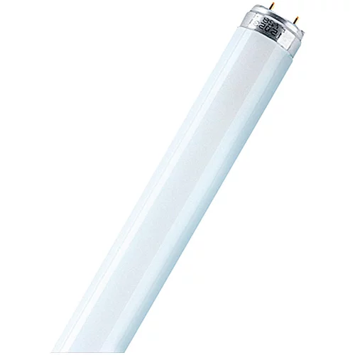 Osram Fluorescenčna sijalka Interna (T8, toplo bela, 18 W, dolžina: 60 cm, energetski razred: G)