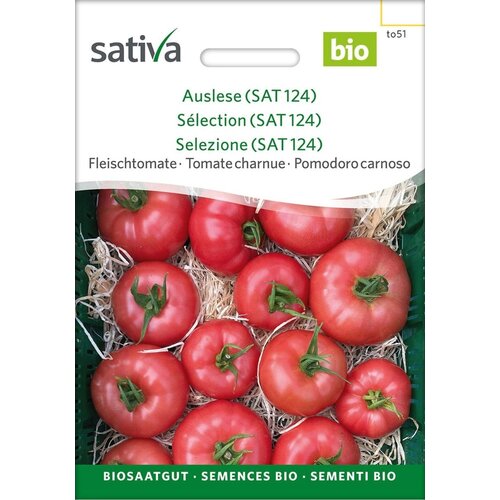 BIO mesnati paradižnik "Auslese" - 1 pkt. Cene