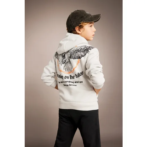 Defacto Boy's Printed Hooded Thick Sweatshirt