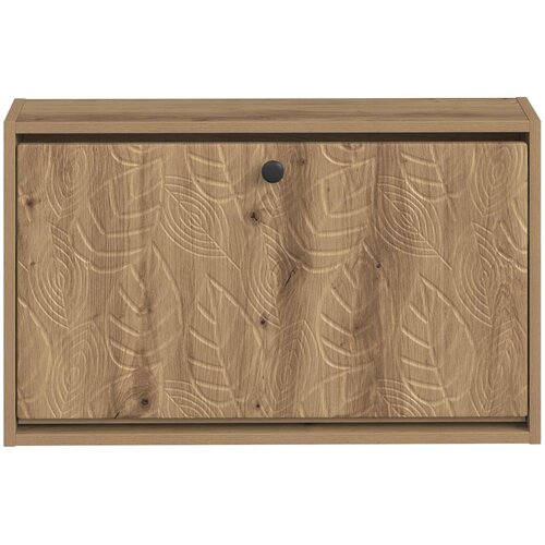  Ormar za cipele na zidu DELFT 71 x 17 x 43 cm Konstruirano drvo Slike