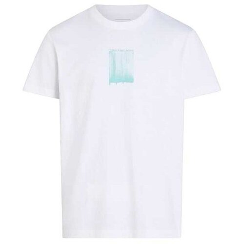 Calvin Klein muška majica sa printom CKJ30J327522-YAF Slike