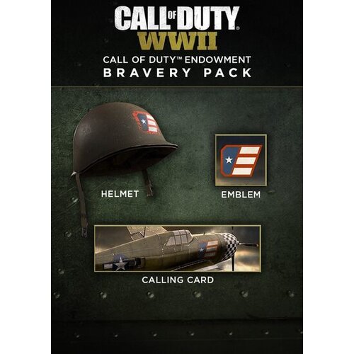 Steam Call of Duty: WWII - Call of Duty Endowment Bravery Pack (DLC) Key GLOBAL Cene