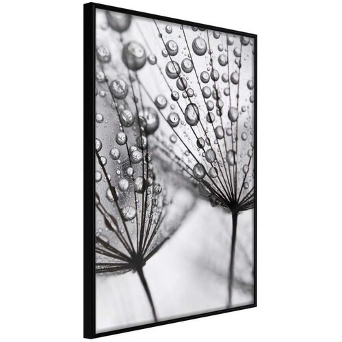  Poster - Dew in the Macro Scale 20x30 Cijene