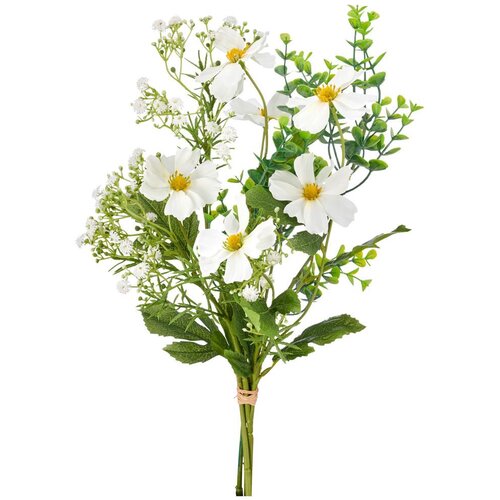 Mömax Kozmeja Cosmeamixstrauss Ii -Paz- Cene