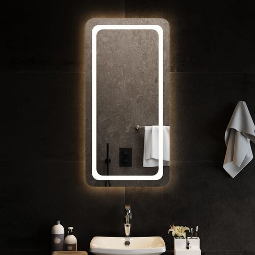 vidaXL LED kupaonsko ogledalo 50x100 cm Cijene
