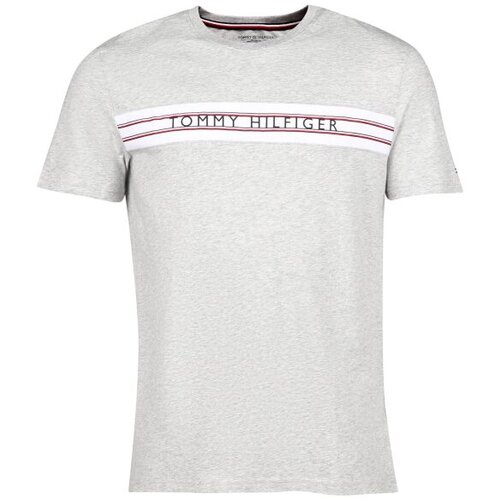 Tommy Hilfiger CLASSIC-CN SS TEE PRINT Mu&amp;scaron;ka majica, siva, veličina Slike