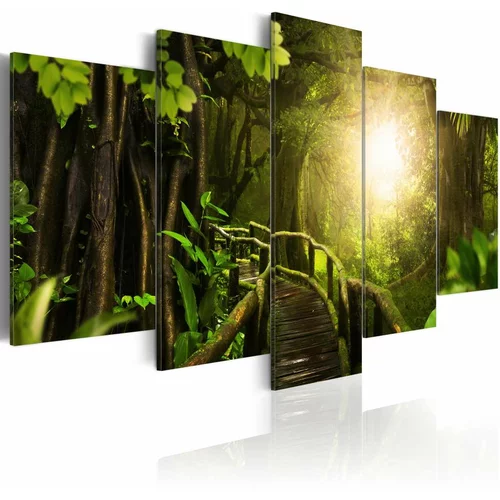  Slika - Magical Jungle 100x50