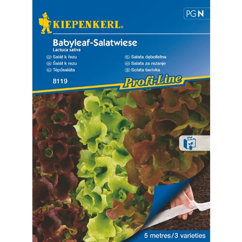 KIEPENKERL Sjeme salate Baby (Lactuca sativa, Berba: Svibanj) Cijene