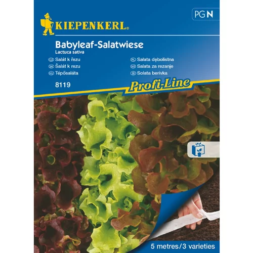 KIEPENKERL Solata berivka Kiepenkerl (Lactuca sativa)